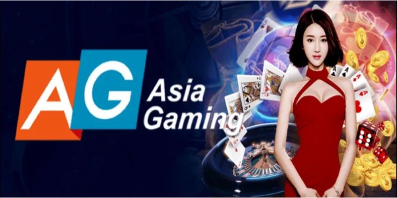 Hệ thống slot game cho đến casino đa dạng & hiện đại