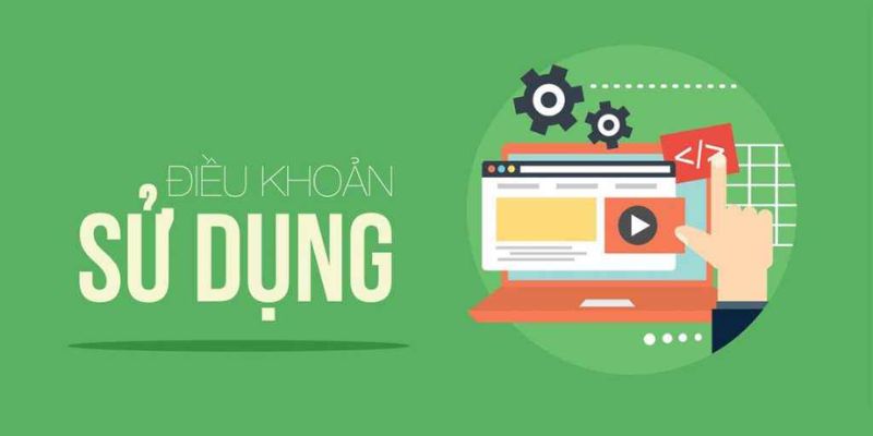 Lý do cần phải cập nhật các điều khoản liên tục
